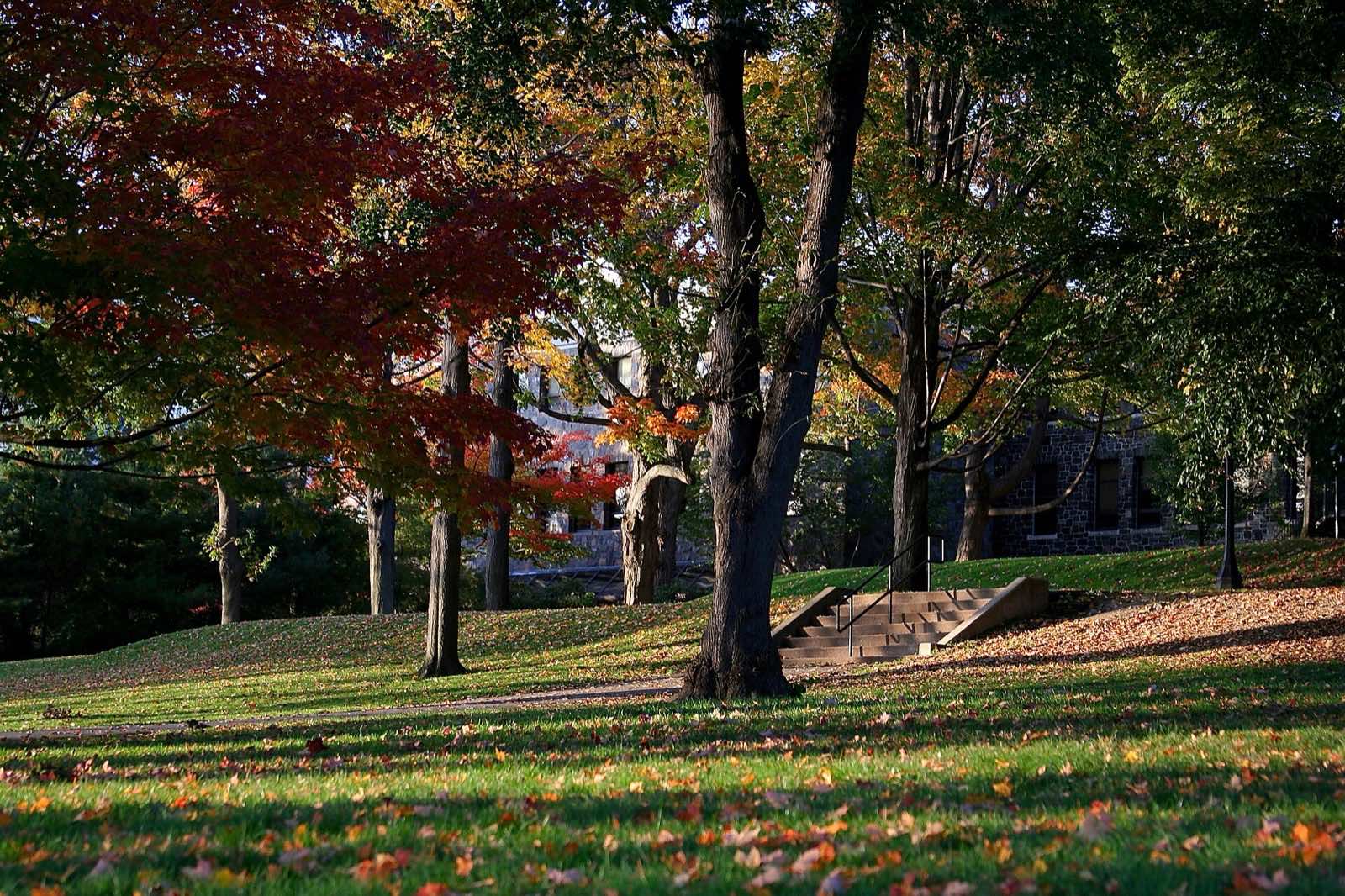 The academic quad at Southgate University