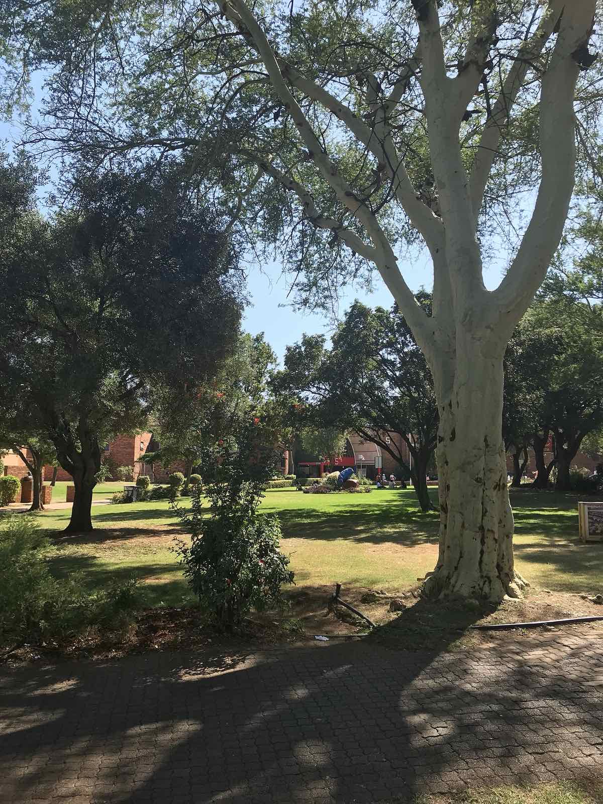 Students on campus